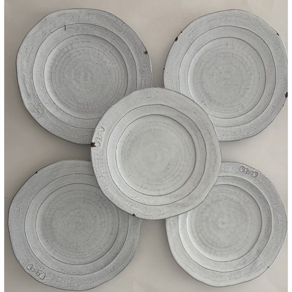 Anthropologie   White Ceramic Dinner Plates - Set of 5